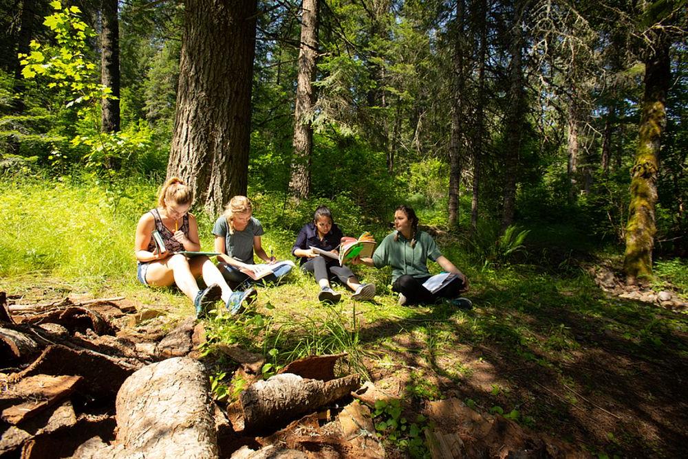 Students studying outside